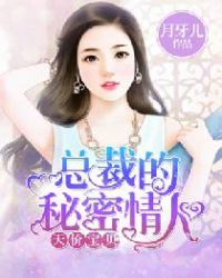 总裁的秘密情人书籍正版